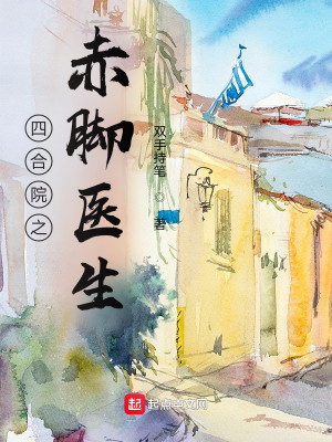 小说《四合院》