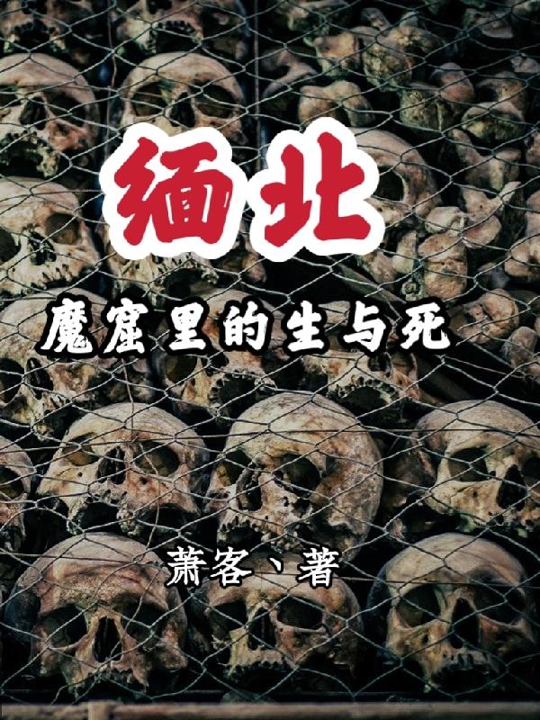 缅北魔窟里的生与死全文